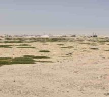 land lease in bahrain