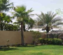 riffa views house with garden