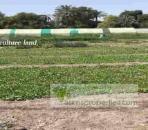 Bahrain agriculture land