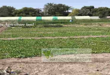 Bahrain agriculture land