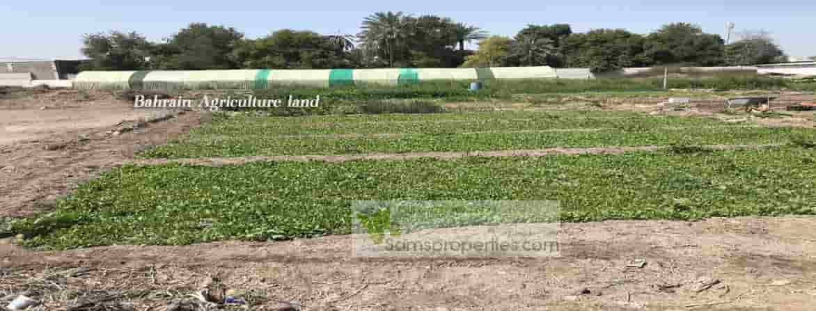 Bahrain agriculture land