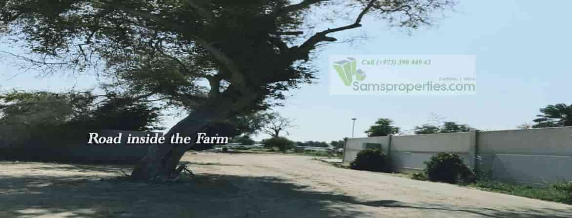 agriculture farm