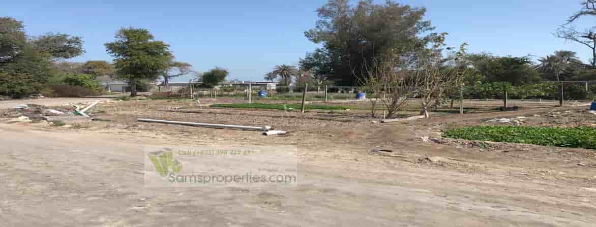 poultry farm rent Bahrain