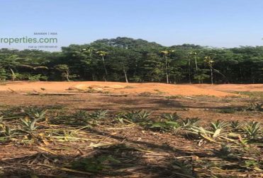 agriculture land sale Kannur