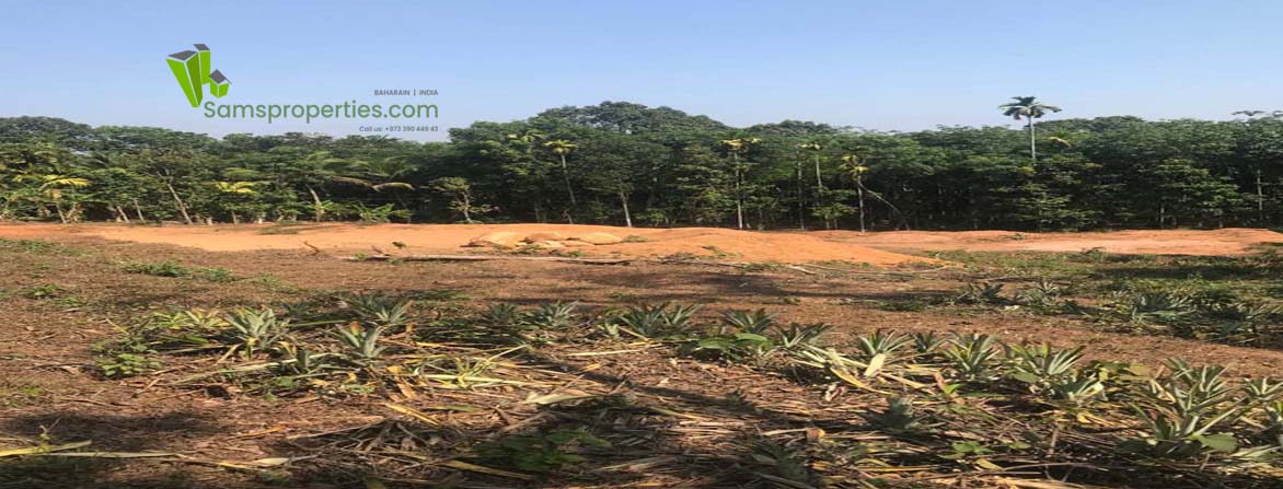 agriculture land sale Kannur