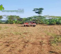 house plot agricultural commercial land