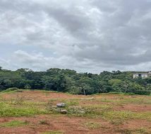 Kerala house plots sale Chengannur