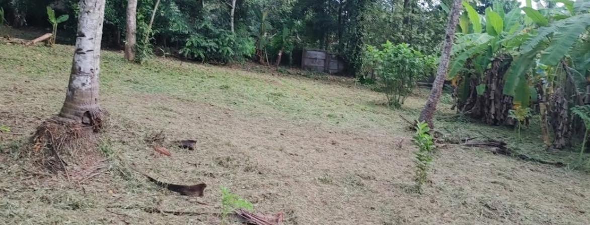 30-Cent land sale in Chengannur