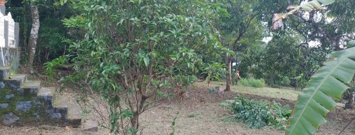 Low price house land