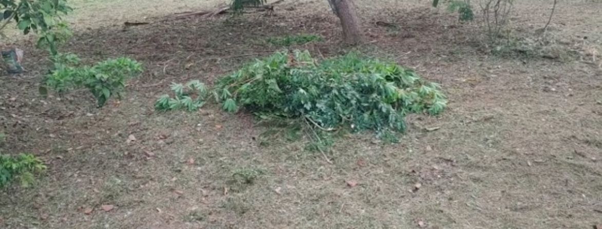 house plot Chengannur town