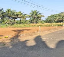 low budget land