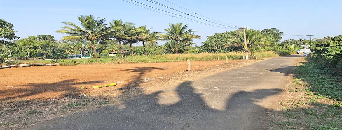 low budget land