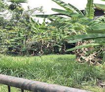 Ernakulam Kochi land sale
