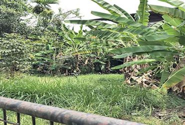 Ernakulam Kochi land sale