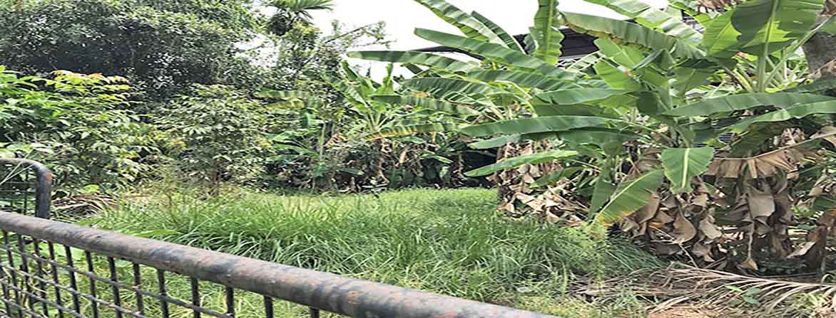 Ernakulam Kochi land sale
