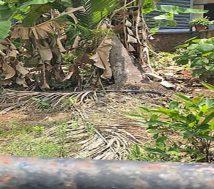 and palarivattom Thattarath Road