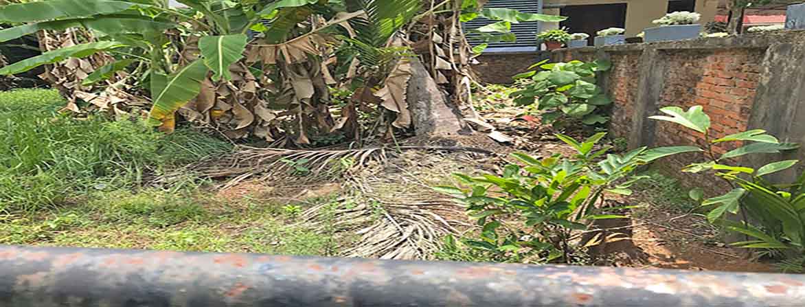 and palarivattom Thattarath Road