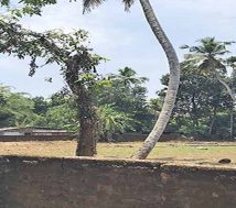 land for development