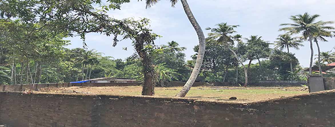 land for development