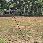 land sale Thiruvalla