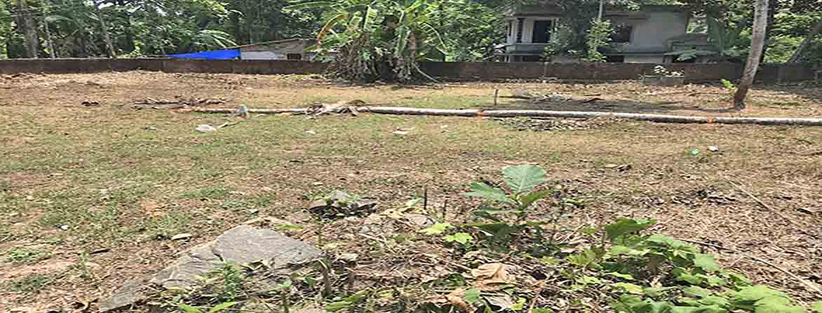 Thiruvalla land