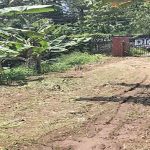A view of the entrance to a commercial land for sale near Manjadi, Thiruvalla, with a metal gate flanked by two brick pillars and a banner for a medical college in the background.