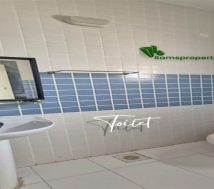 Clean and modern bathroom with blue and white tiles in a worker flat for rent in Riffa, Bahrain.